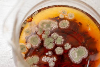 Çayın yüzeyindeki çaydanlıkta küf.