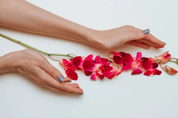 Чувственные Женские Руки Веткой Цветка Орхидеи Белом Фоне Мода Вид — стоковое фото