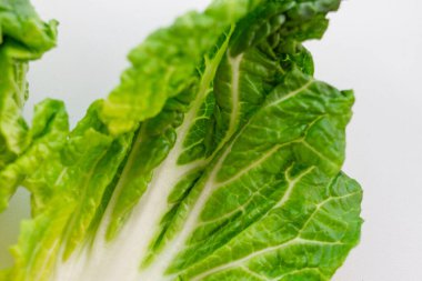 Taze yeşil Çin lahanasının çiğ yaprağını kapat