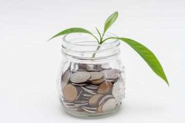 İş konsepti, cam kavanozdaki bozuk paraların filizlenmesi..