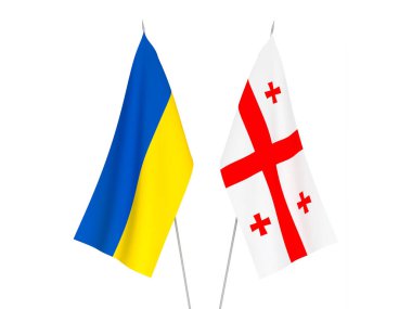 Ukrayna ve Gürcistan bayrakları