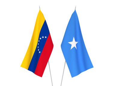 Somali ve Venezuela bayrakları