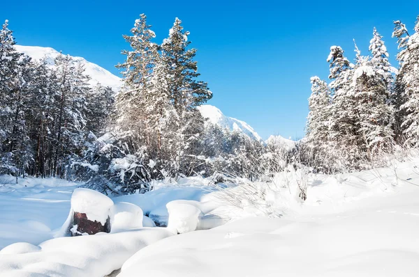 Bosque de invierno y río de montaña después de nevadas — Foto de Stock