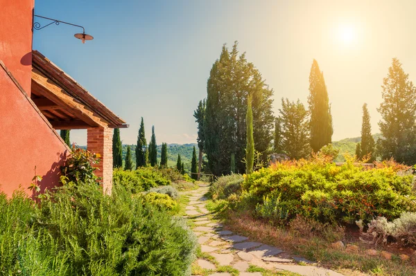 Schöne ländliche Landschaft bei Sonnenaufgang — Stockfoto