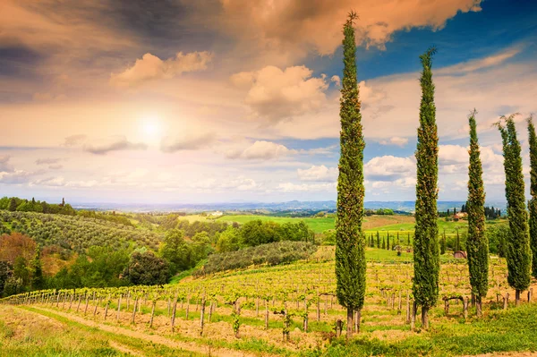 Toskánské krajiny, San Gimignano, Itálie — Stock fotografie