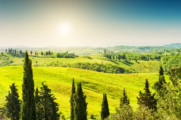 Grüne hügel in der toskana, italien. — Stockfoto