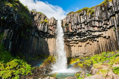 İzlanda'daki svartifoss şelale