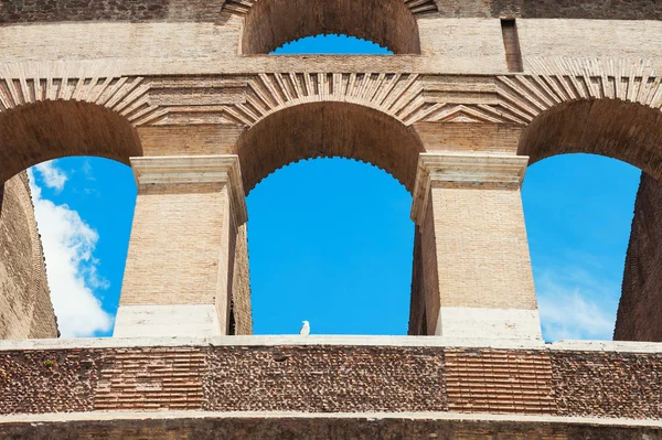 Coliseo en roma, italia. — Foto de Stock