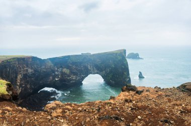 Cape Dyrholaey Güney İzlanda