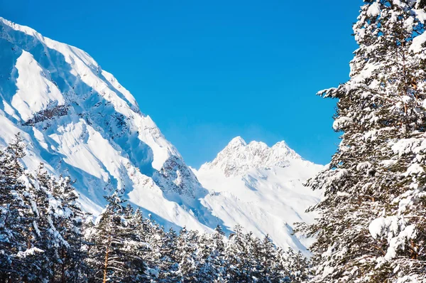 Montañas cubiertas de nieve y bosque . — Foto de Stock