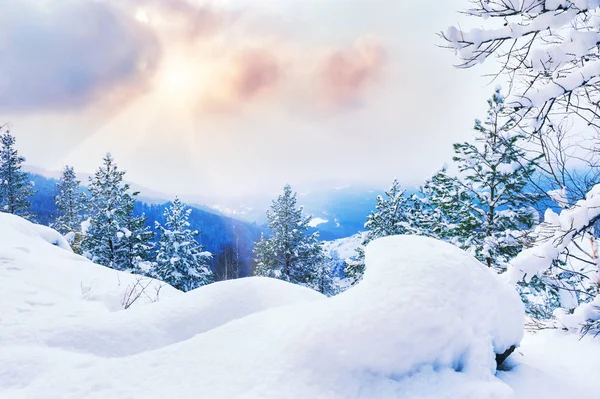 Beautiful winter landscape. — Stock Photo, Image