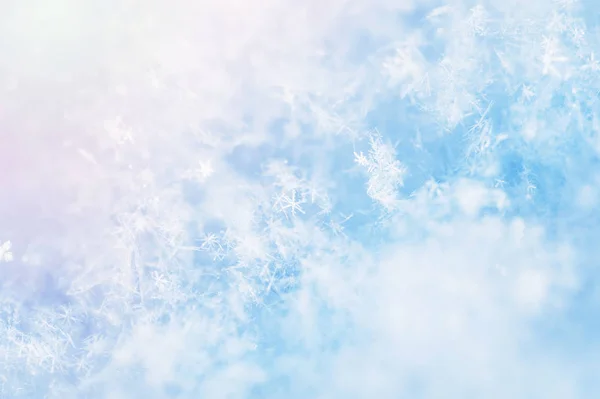 Makro bilden av snöflingor. — Stockfoto