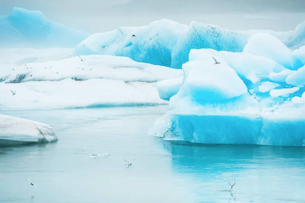 手配氷河湖、南アイスランド — ストック写真