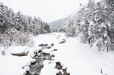 Dağ nehir ve orman kar yağışı sonra. 