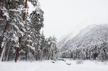 Orman ve dağlar kar yağışı sonra.