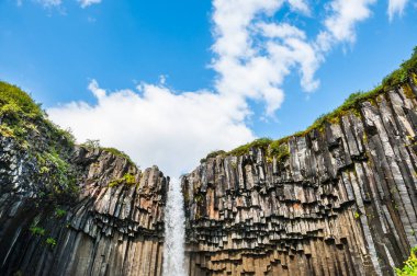 Svartifoss şelale Skaftafell Milli Park, İzlanda. 