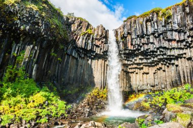 Svartifoss şelale Skaftafell Milli Park, İzlanda.