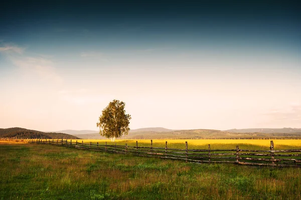 Krásné venkovské krajiny při západu slunce — Stock fotografie