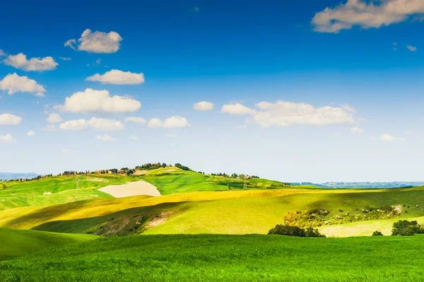 Grüne Felder und blauer Himmel. — Stockfoto