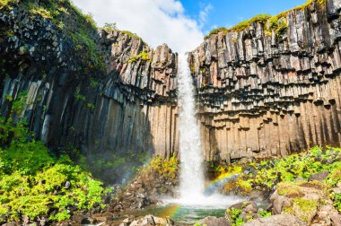 Svartifoss şelale Skaftafell Milli Park, İzlanda.