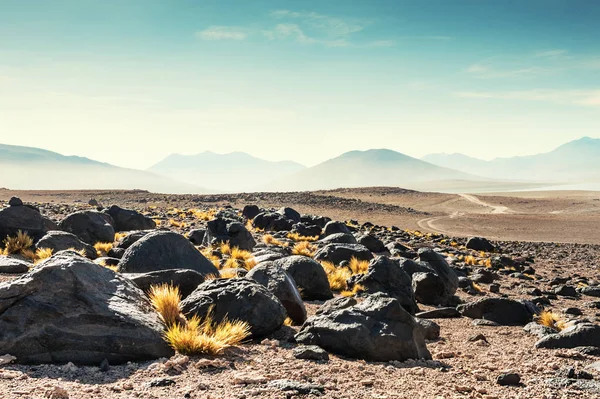 Paisajes de gran altitud en la meseta Altiplano, Bolivia — Foto de Stock