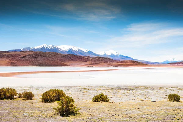 Landscapes of Altiplano, Bolivia — Stock Photo, Image