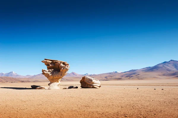 Árvore de pedra no planalto Altiplano, Bolívia — Fotografia de Stock