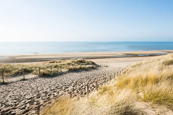 Wybrzeże morza w Noordwijk, Holandia, Europa. — Zdjęcie stockowe