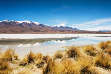 Lagün Celeste Altiplano, Bolivya Platosu üzerinde
