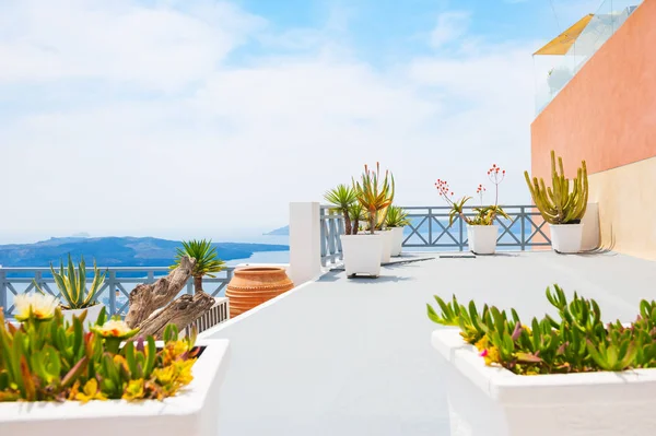 Krásná terasa s květinami, výhled na moře. — Stock fotografie