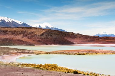 Altiplano, Bolivya'nın güzel manzaralar