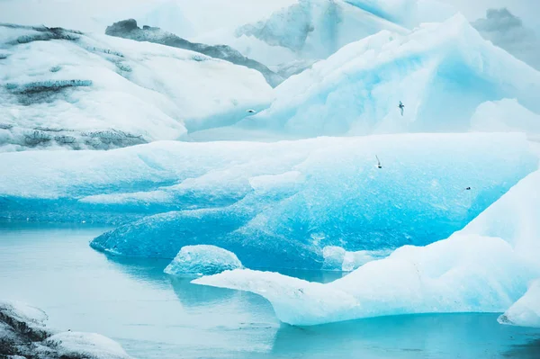 在 Jokulsarlon 冰川泻湖，冰岛的蓝色冰山 — 图库照片