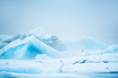 Jokulsarlon Buzul Gölü, İzlanda
