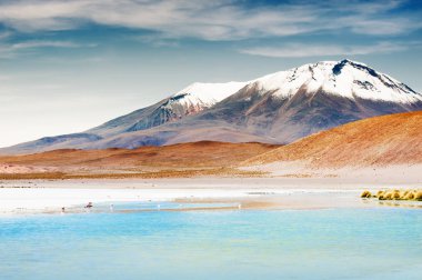 High-altitude lagoon on the plateau Altiplano, Bolivia clipart