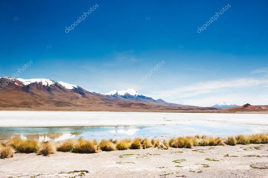 High-altitude lagoon and volcano, Altiplano, Bolivia
