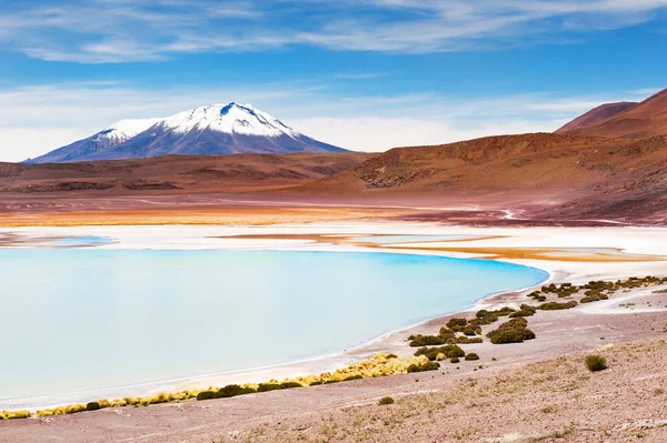 Laguna de gran altitud, Altiplano, Bolivia — Foto de Stock