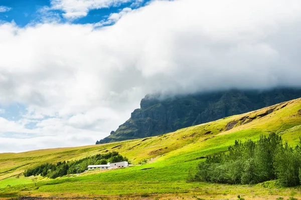 Alan yeşil çim ve dağ siste.