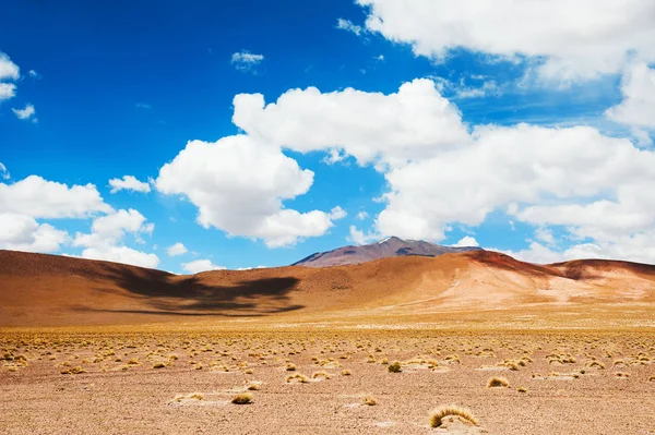 Desert landscape in Altiplano, Bolivia — Stock Photo, Image