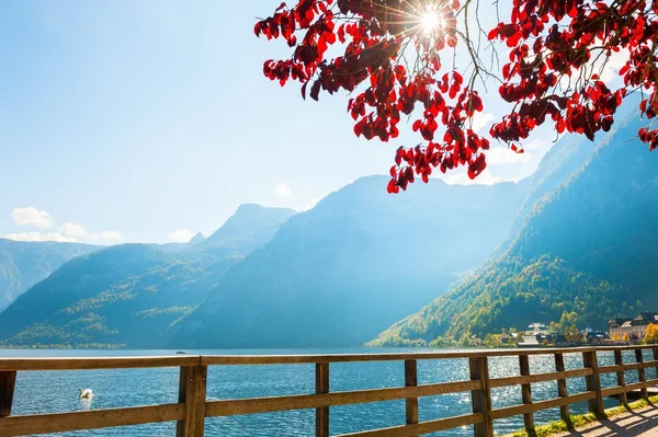 Озеро Халльстаттер в австрийских Альпах . — стоковое фото