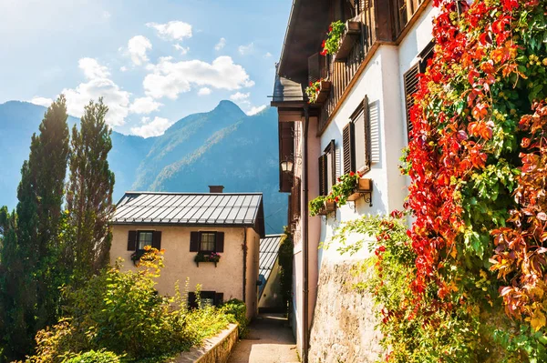 Hallstatt village in Austrian Alps — Stock Photo, Image