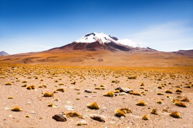 Çöl peyzaj Yaylası Altiplano, Bolivya