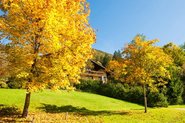 Красивый осенний пейзаж в австрийских Альпах — стоковое фото