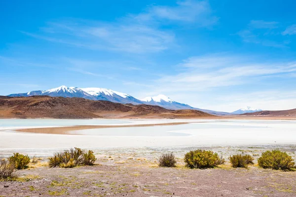 High-altitude lagoon and volcano in Altiplano, Bolivia — Stock Photo, Image