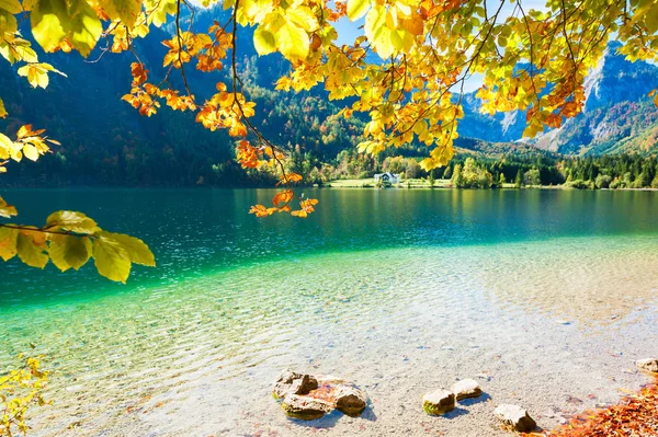Gelbe Herbstbäume am Ufer des Sees — Stockfoto