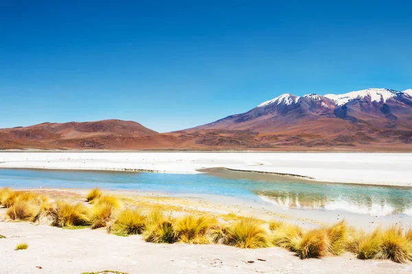 Laguna y volcán Celeste en Altiplano, Bolivia — Foto de Stock