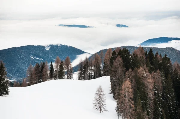 Zima góry w mglisty dzień. — Zdjęcie stockowe