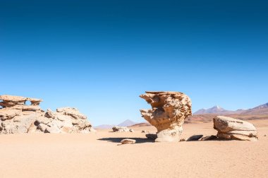 Taş Ağaç Arbol de Piedra, Altiplano, Bolivya