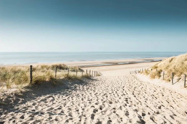 Sandy dunes on the coast of North sea — Stock Photo, Image