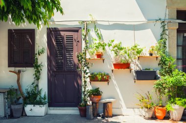 Evin avlusunda çiçekler