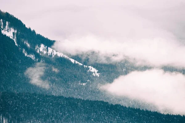 Manhã nebulosa nas montanhas de inverno . — Fotografia de Stock